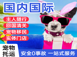 阿拉善右旗巴丹吉林国际宠物托运 【国